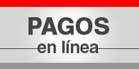 Pagos en linea
